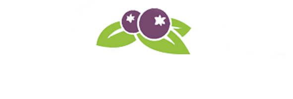 Logotyp Super borówka